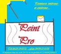 Logo de Peint-pro