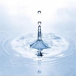 Logo de Raimond Stephane