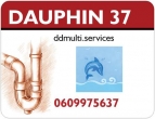 Dauphin 37