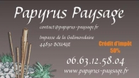 Papyrus Paysage