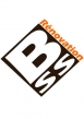 Logo de BSS R�novation