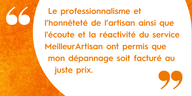 avis client meilleurartisan