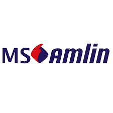 Ms amlin