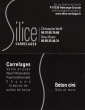 SILICE CARRELAGES