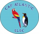 CAP ATLANTIC ELEC