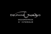 Thibaud Delphine