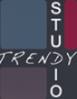 trendy studio sarl d architecture