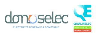 Domoselec