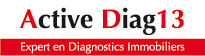 Active Diag13