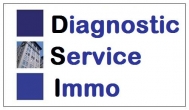 Diagnostic Service Immobilier (DSI