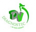 DV Diagnostic