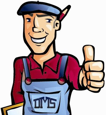 Domestic Multi Services