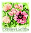 Collinet Frédérique