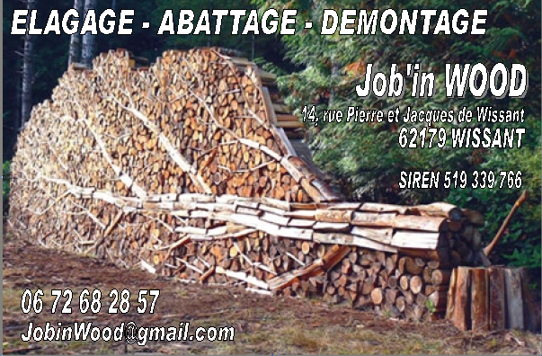 Devis Abattage arbres Elagage et taille des arbres