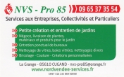 NVS-Pro 85