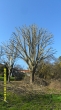 Devis Entretien jardin et espaces verts