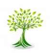 Le chant des Arbres - Elagage et soins aux arbres