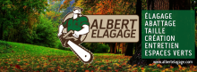 Albert elagage