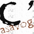 Casavog