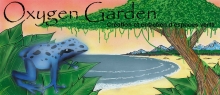 OXYGEN GARDEN