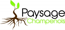 Paysage Champenois