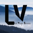 LV services