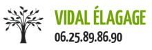 Vidal Elagage
