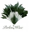 PERLES&WAX