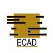 ECAD Construction