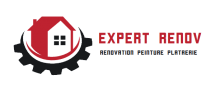 expert renov