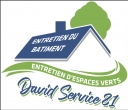 David service 81