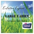 LARGE FABIEN