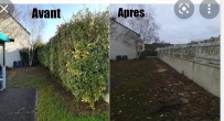 Devis Entretien jardin et espaces verts