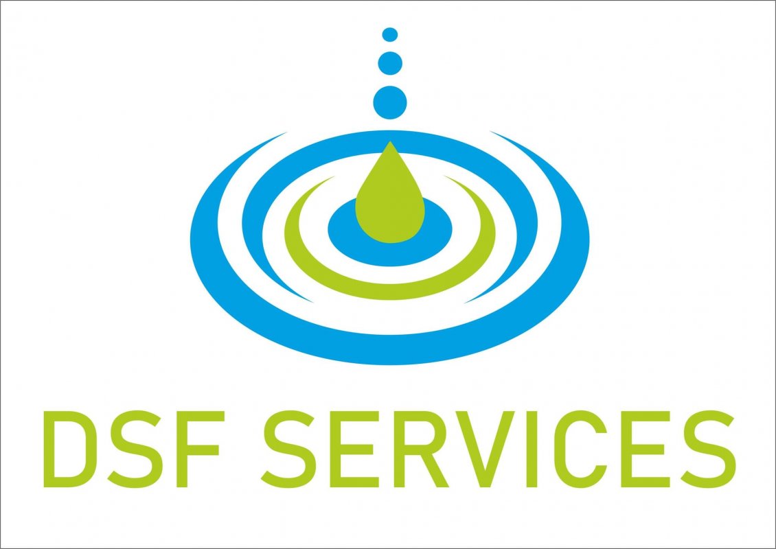 DSF Services