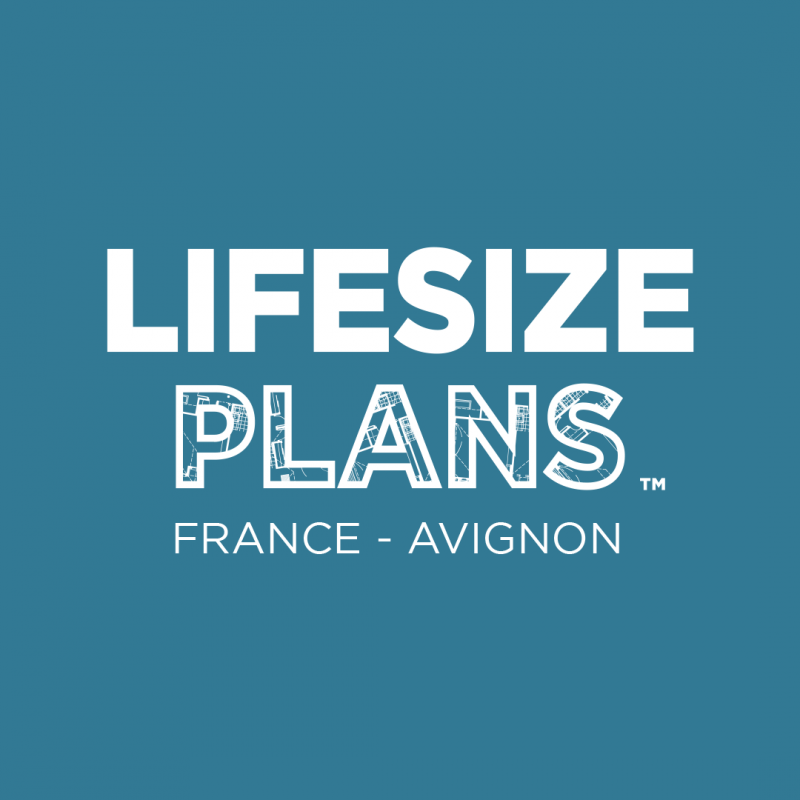 LIFESIZE PLANS