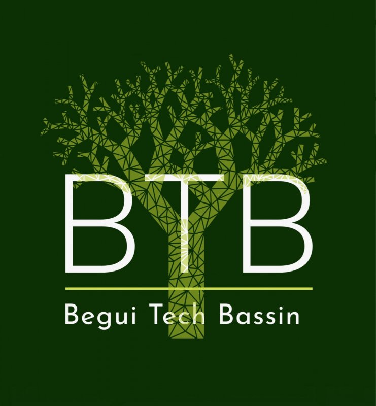 BEGUI TECH BASSIN 