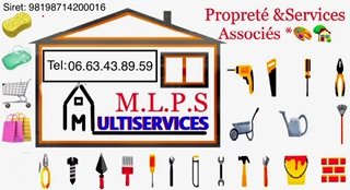 M.L.P.S MULTI-SERVICES 