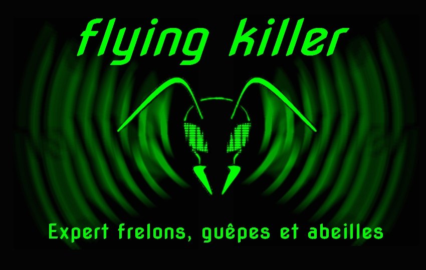 flying killer