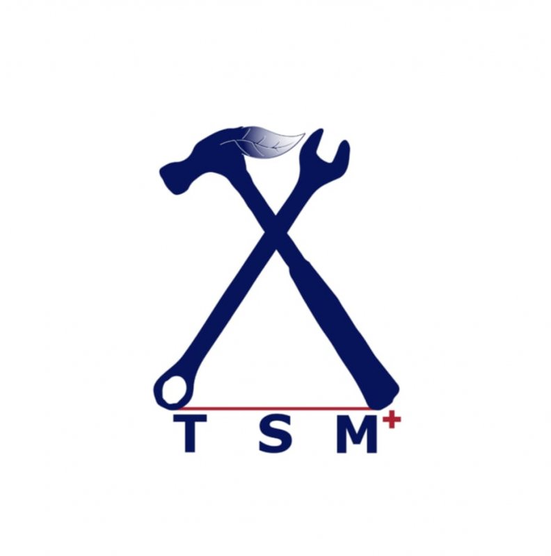 TSM Plus