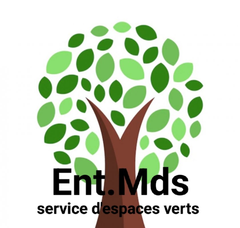 Ent.mds