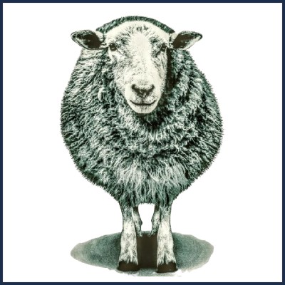 La Bergerie Décoration