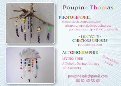 Poupinespix Pontis