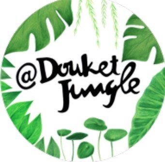DOUKET JUNGLE
