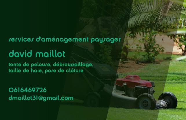 MAILLOT DAVID