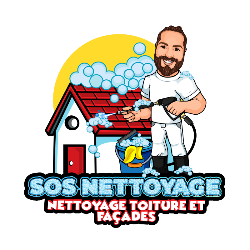 SOS Nettoyage Toiture Angoulême 