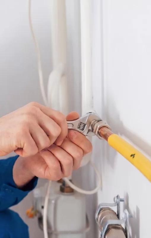 Remplacement flexible de gaz
