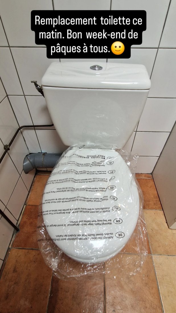Remplacement toilette économique