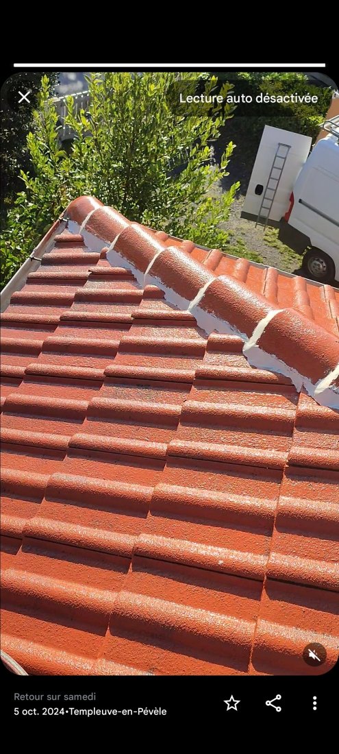 Travaux faîtage chaux