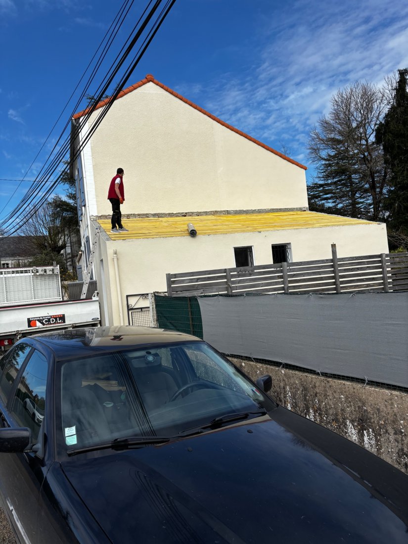 Remplacement Toiture DUAULT