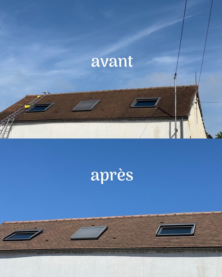 Démoussage Toiture Professionnel